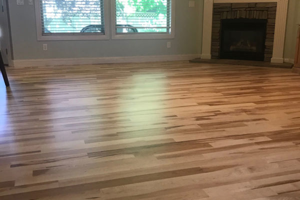 light colored maple birch hardwood floors in living room