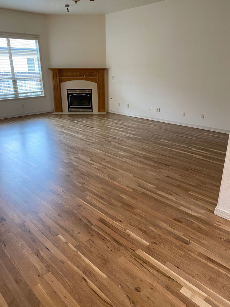 light and dark oak hardwood floors in living room
